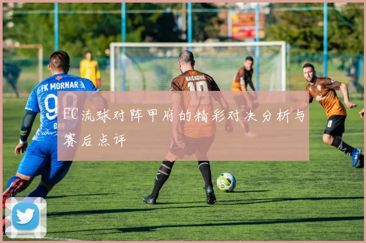 FC流球对阵甲府的精彩对决分析与赛后点评