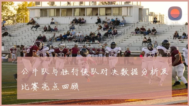 公牛队与独行侠队对决数据分析及比赛亮点回顾